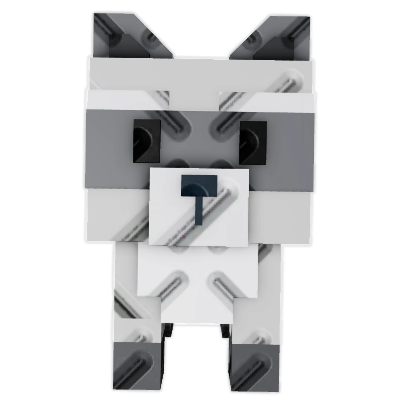 Raccoon reference image in Grow A Garden 2